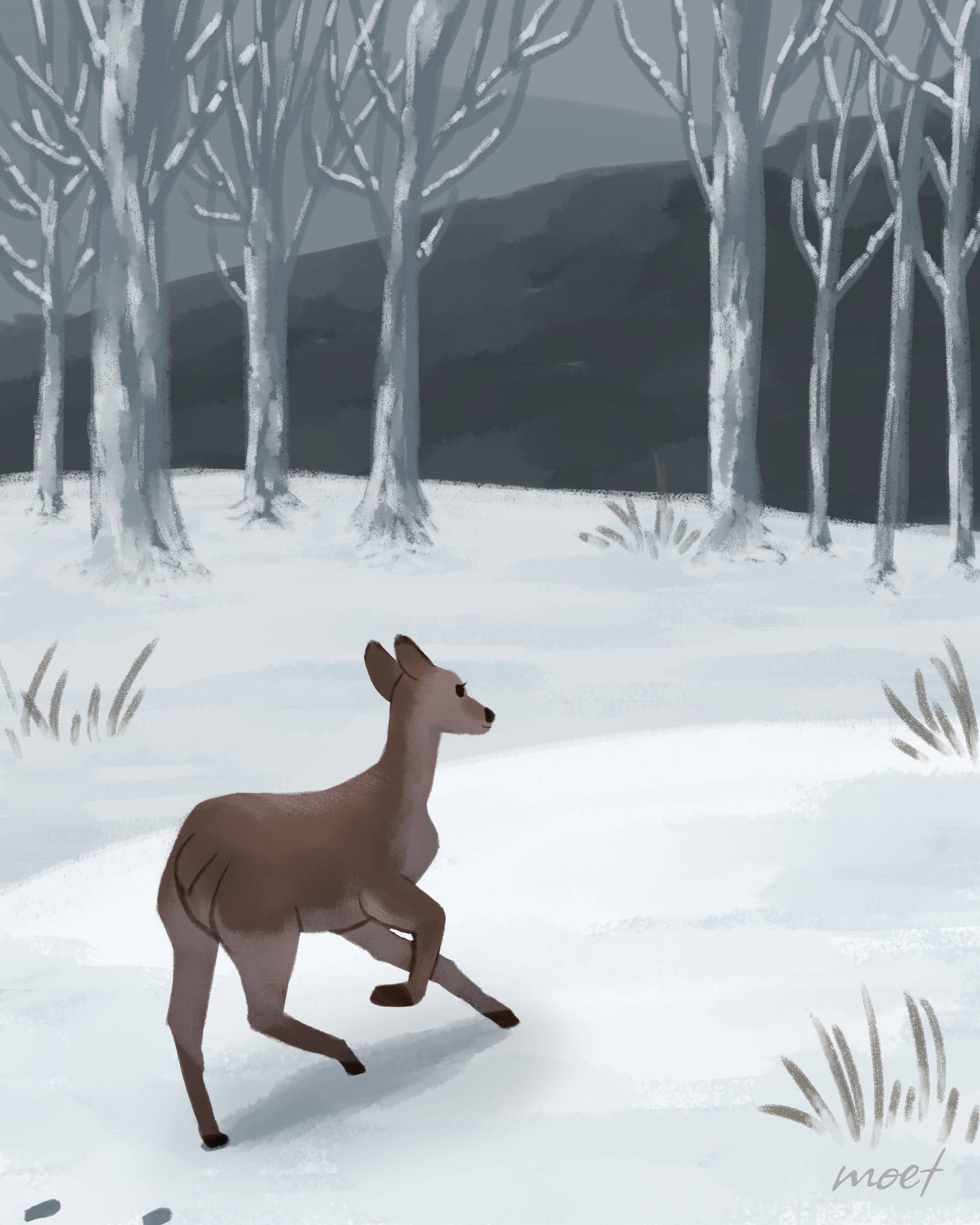 Deer running through snow – 눈밭을 달리는 사슴